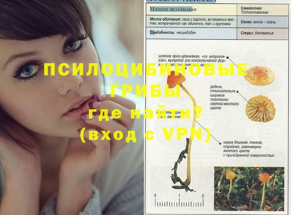 прущие грибы Богородицк