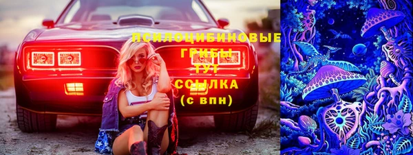 мяу мяу мука Бородино