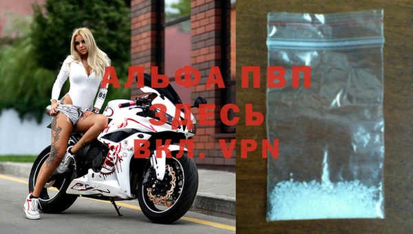 стаф Бронницы
