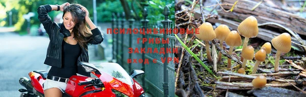 МДПВ Бугульма