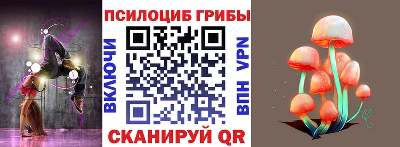 Псилоцибиновые грибы ЛСД  купить закладку  mega tor  Мещовск 
